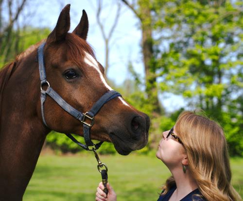 Welcome to Our Blog!